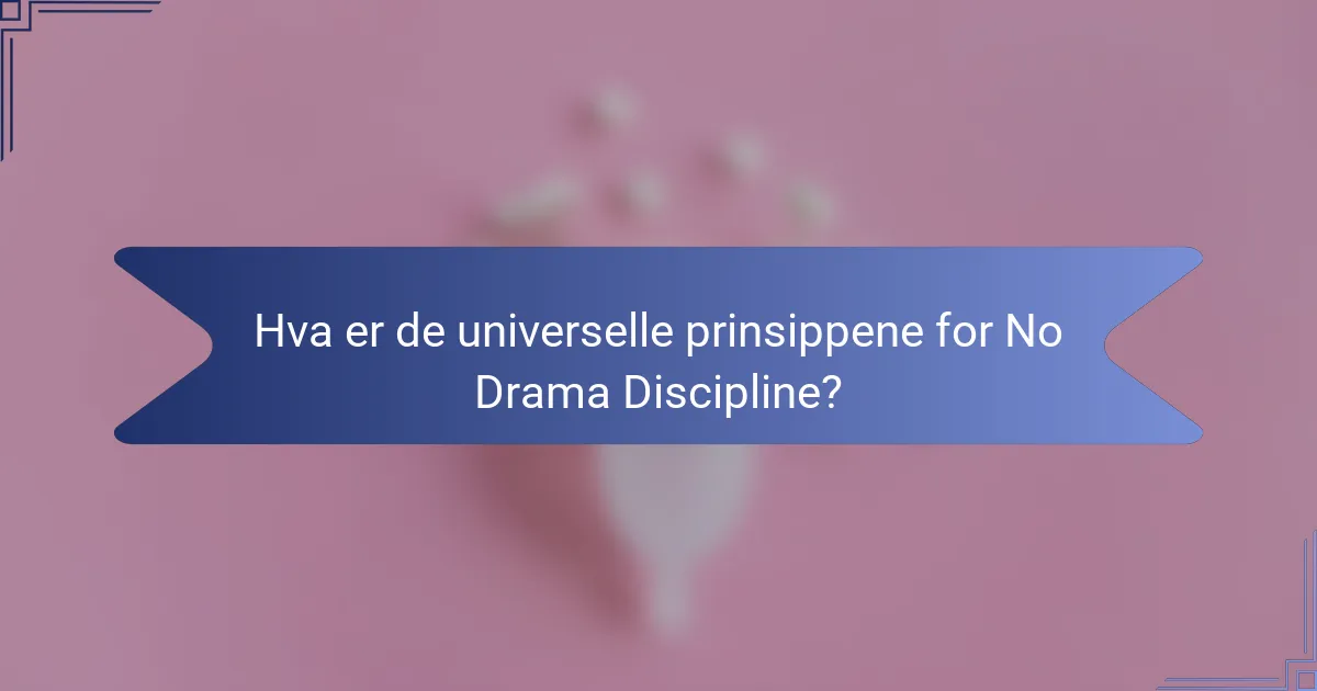 Hva er de universelle prinsippene for No Drama Discipline?